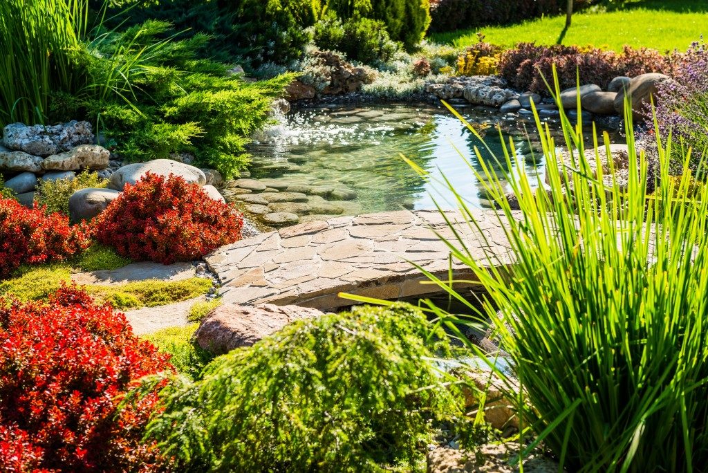Landscaped backyard with pond